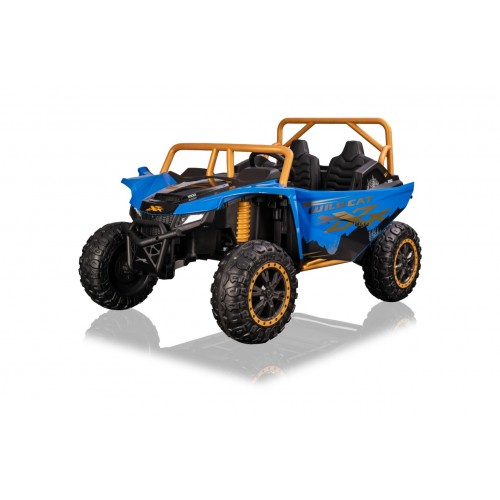 Buggy Arctic Cat WILDCAT XX Blue