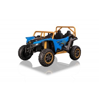 Buggy Arctic Cat WILDCAT XX Blue