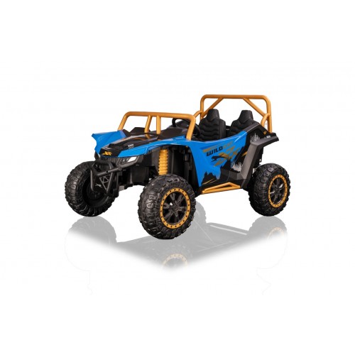 Buggy Arctic Cat WILDCAT XX Blue