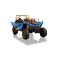 Buggy Arctic Cat Blue