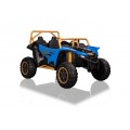 Buggy Arctic Cat WILDCAT XX Blue