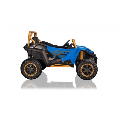 Buggy Arctic Cat WILDCAT XX Blue