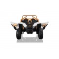 Arctic Cat Buggy White