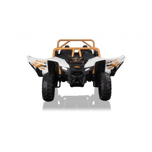 Arctic Cat Buggy White