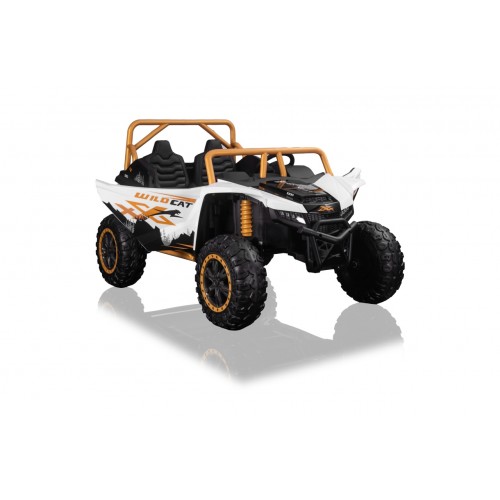 Arctic Cat Buggy White