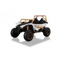 Arctic Cat Buggy White