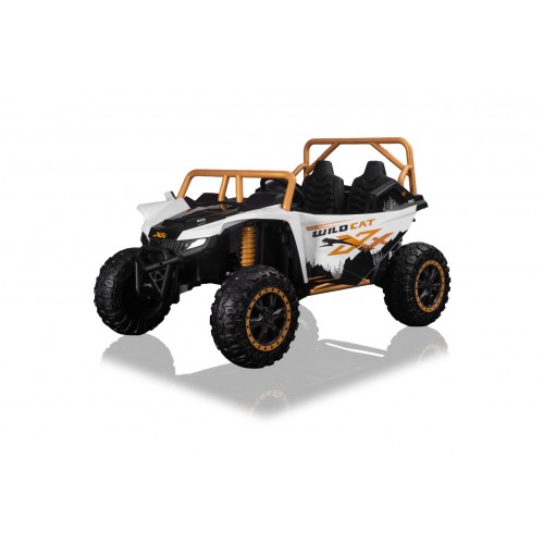 Arctic Cat Buggy White