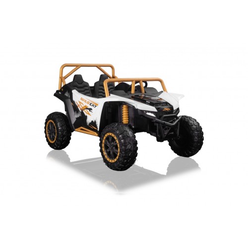 Arctic Cat Buggy White