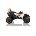 Arctic Cat Buggy White