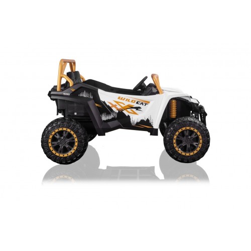 Arctic Cat Buggy White