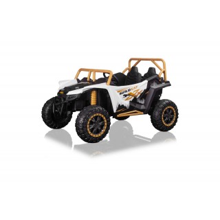 Arctic Cat Buggy White