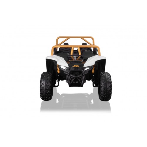 Arctic Cat Buggy White