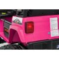 Extreme Sport 4x4 Vehicle Variable Size Pink