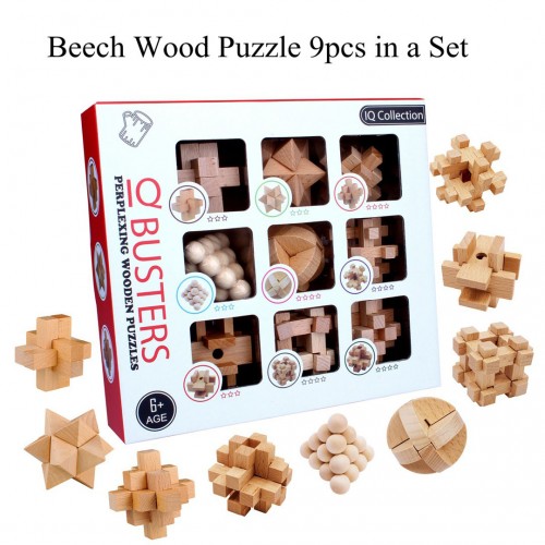 Wooden Logic Puzzle Set