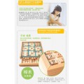 Wooden Puzzle Logic Game