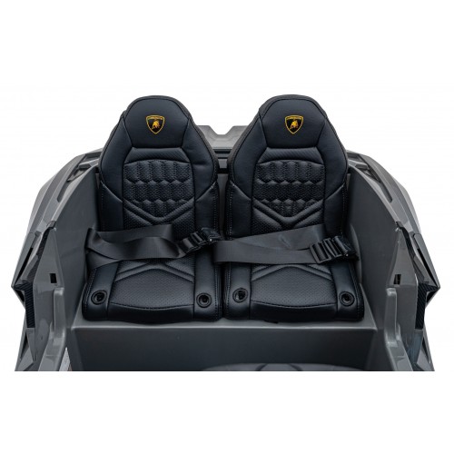 Vehicle Lamborghini Revuelto XL STRONG Gray