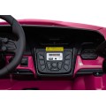 Lamborghini Revuelto XL STRONG Pink Vehicle