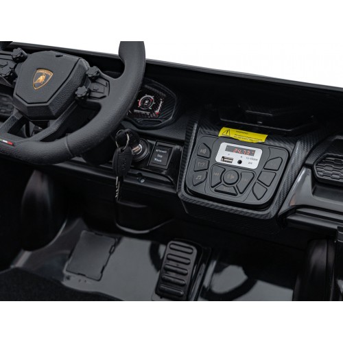 Lamborghini Revuelto XL Black vehicle