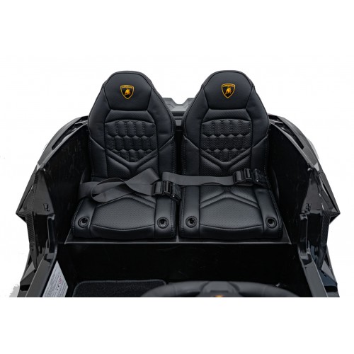 Lamborghini Revuelto XL Black vehicle