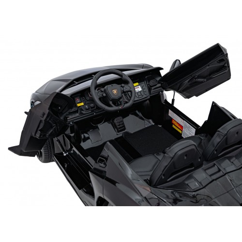 Lamborghini Revuelto XL Black vehicle