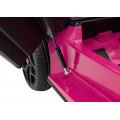 Lamborghini Revuelto XL Pink Vehicle