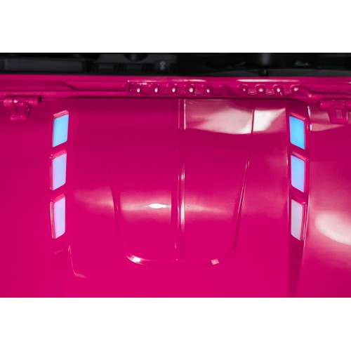 PASSION 4x4 Pink Off-Road Vehicle
