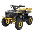 49CC SIRIUS Yellow Quad Bike