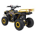49CC SIRIUS Yellow Quad Bike