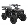 49CC SIRIUS Black Petrol Quad Bike