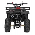 49CC SIRIUS Black Petrol Quad Bike
