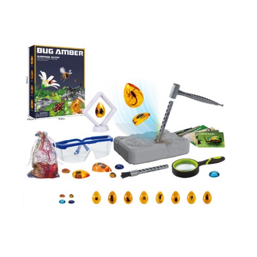 Insect Explorers Set