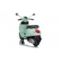 Vespa ROMA Scooter Vehicle Green