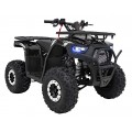 125CC DISCOVERER Black Petrol Quad Bike
