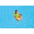 Over And Over Again To The Swimming Elephant Water Glowing W