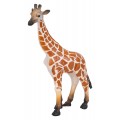 Wild Animals Set 29 pcs.