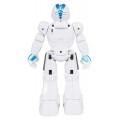 Multifunctional Robot MINIMAL 02