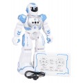 Multifunctional Robot SMART-BOT