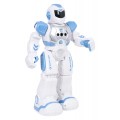 Multifunctional Robot SMART-BOT