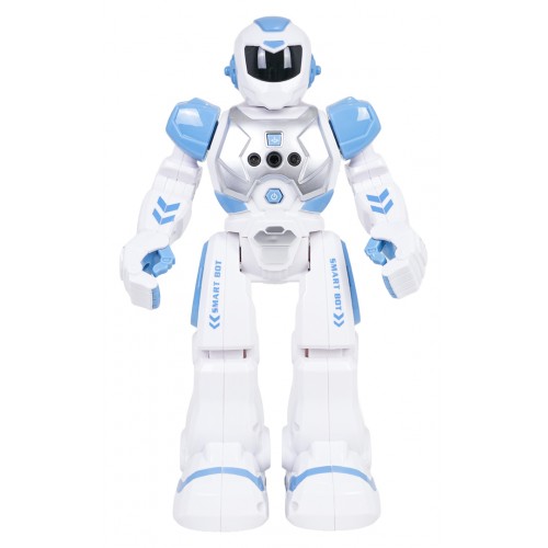 Multifunctional Robot SMART-BOT