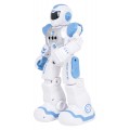 Multifunctional Robot SMART-BOT