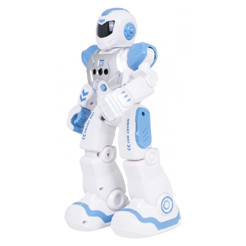 Multifunctional Robot SMART-BOT