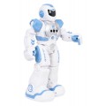 Multifunctional Robot SMART-BOT