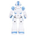 Multifunctional Robot SMART-BOT