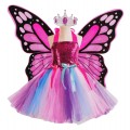 Butterfly Wings Set + Rainbow Dress