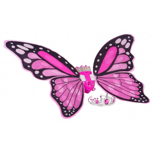 Butterfly Wings Set + Rainbow Dress