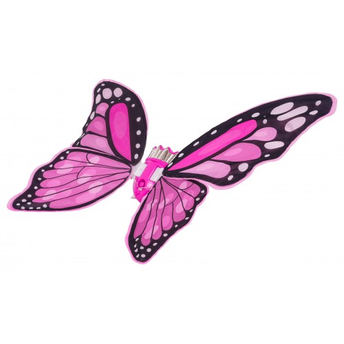 Butterfly Wings Set + Rainbow Dress