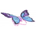 Butterfly Wings Purple