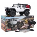 Car R/C WILDERNESS RTR 1:10 White