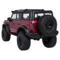 WILDERNESS R/C 1:10 car