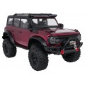 WILDERNESS R/C 1:10 car